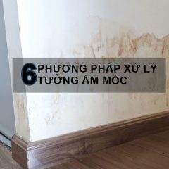 6-phuong-phap-xu-ly-tuong-am-moc-hieu-qua